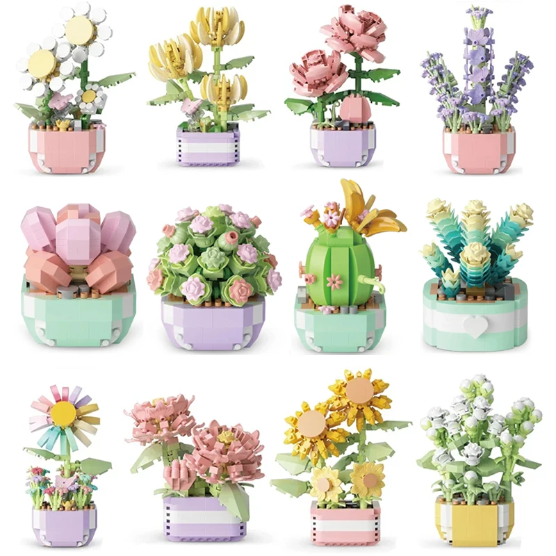 Echeveria Succulent - Flower Succulents Building Blocks Everlasting Flower
