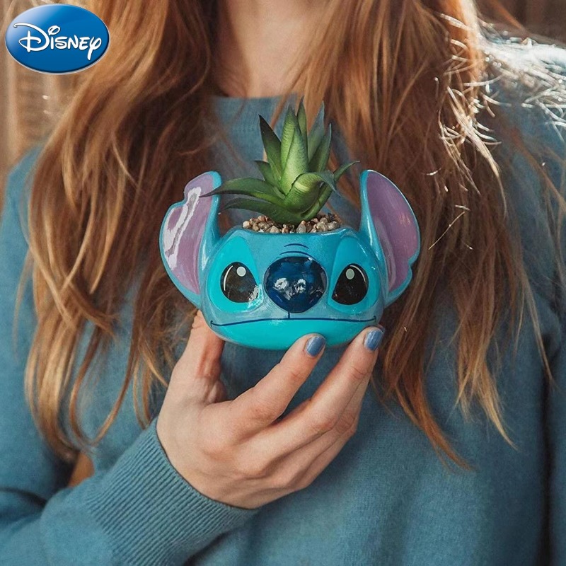 Echeveria Succulent - Disney Stitch Decorations Cute Cartoon Succulent