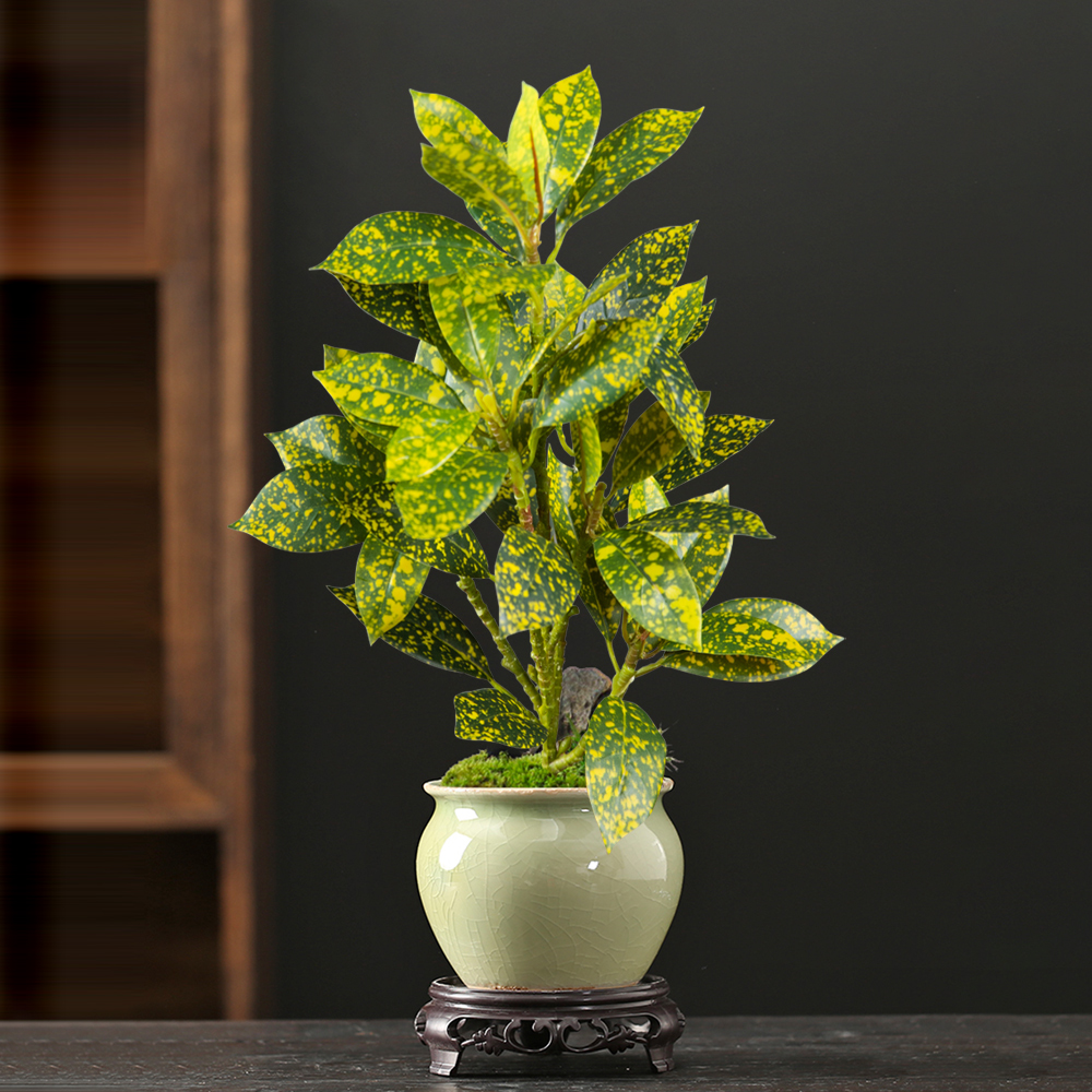 Ficus Lyrata Tree - 24-41cm Artificial Ficus Tree Fake Plastic