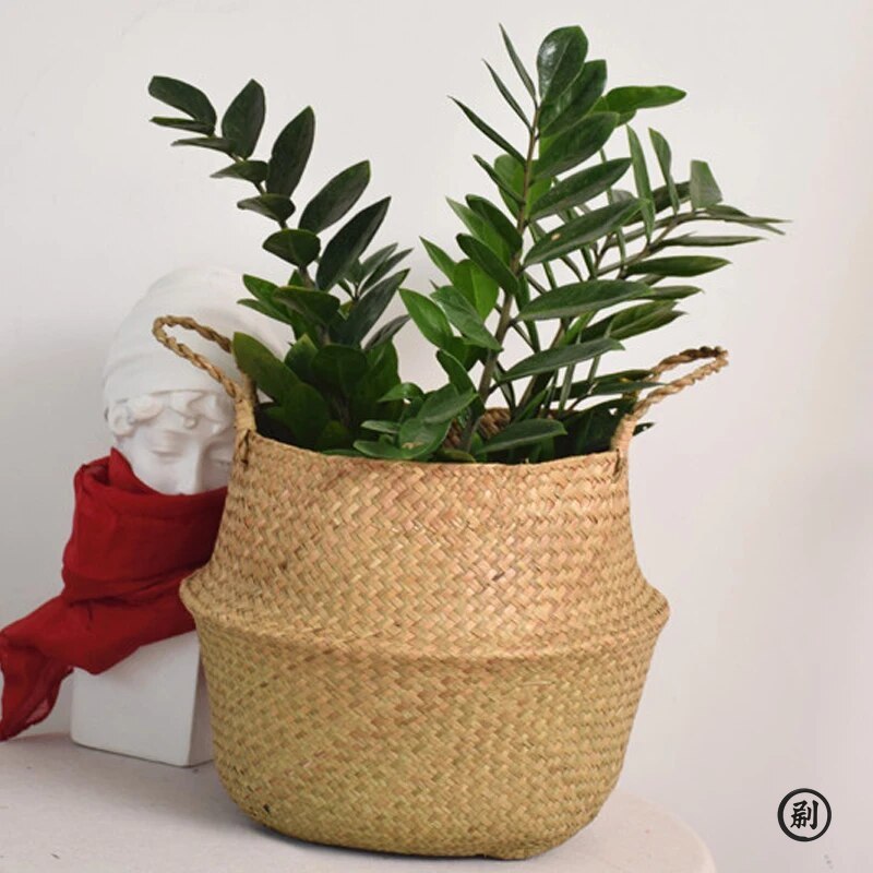 Aloe Vera Pot - Wicker Basket Toy Organizer Folding Rattan
