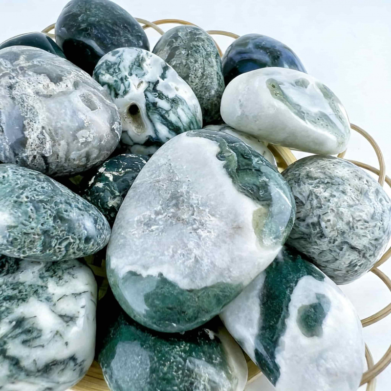 Natural Moss Agate Crushed Sto – Echeveria Succulent Bewertung und Preis