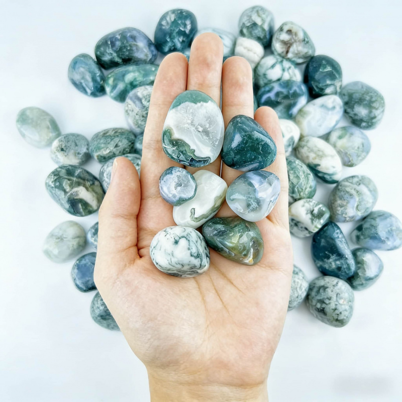 Natural Moss Agate Crushed Sto – Echeveria Succulent Bewertung und Preis