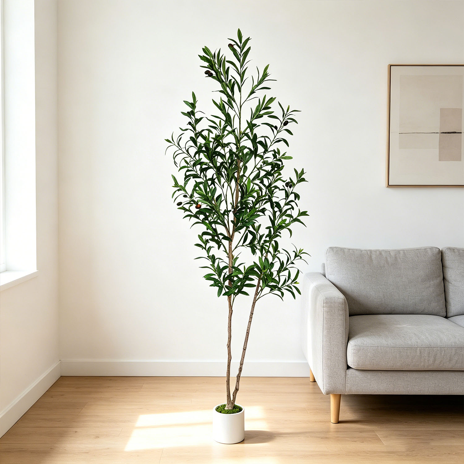 145Cm-175Cm/5.7Ft Artificial O – Dracaena Marginata Bewertung und Preis