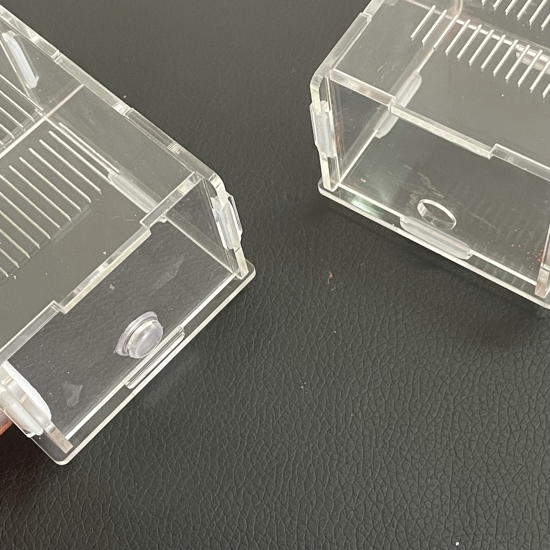 15-150mm Gypsum Test Tube Nest – Begonia Rex Bewertung und Preis