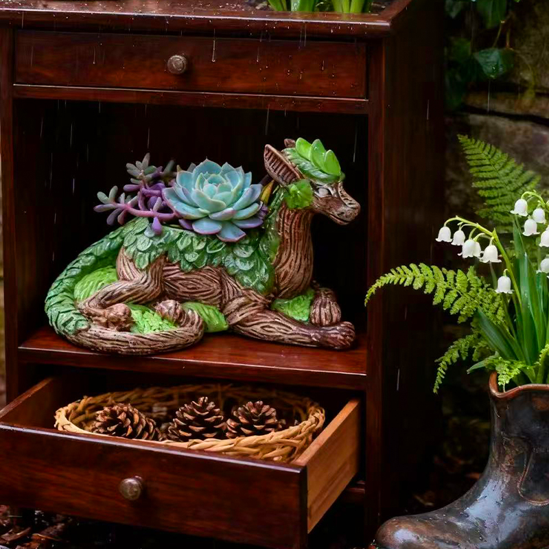 Creative Dragon Tree Flower Po – Echeveria Succulent Bewertung und Preis