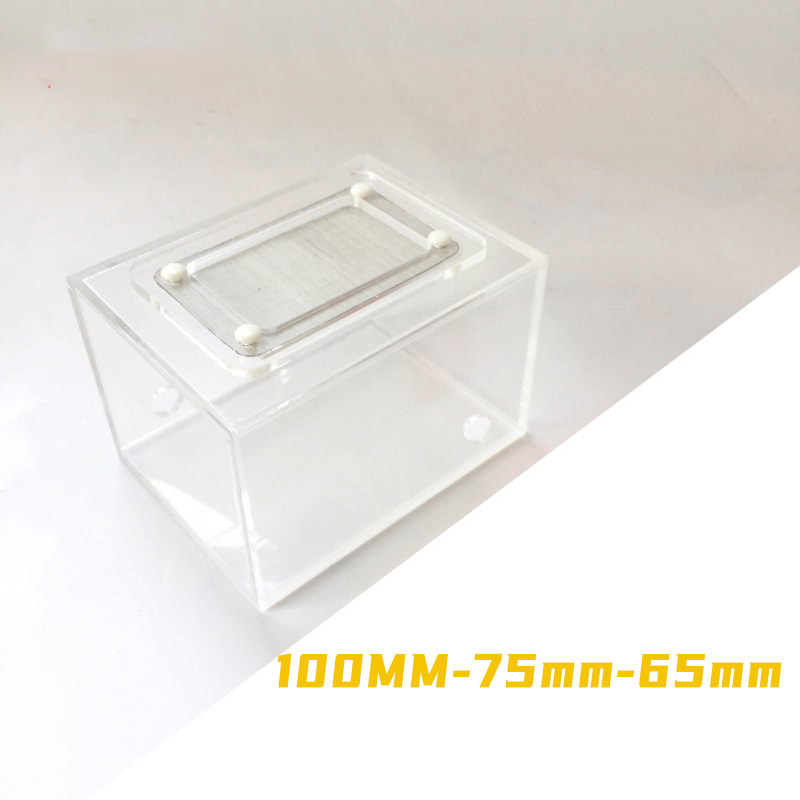 Acrylic Finished Seamless Ant  – Begonia Rex Bewertung und Preis