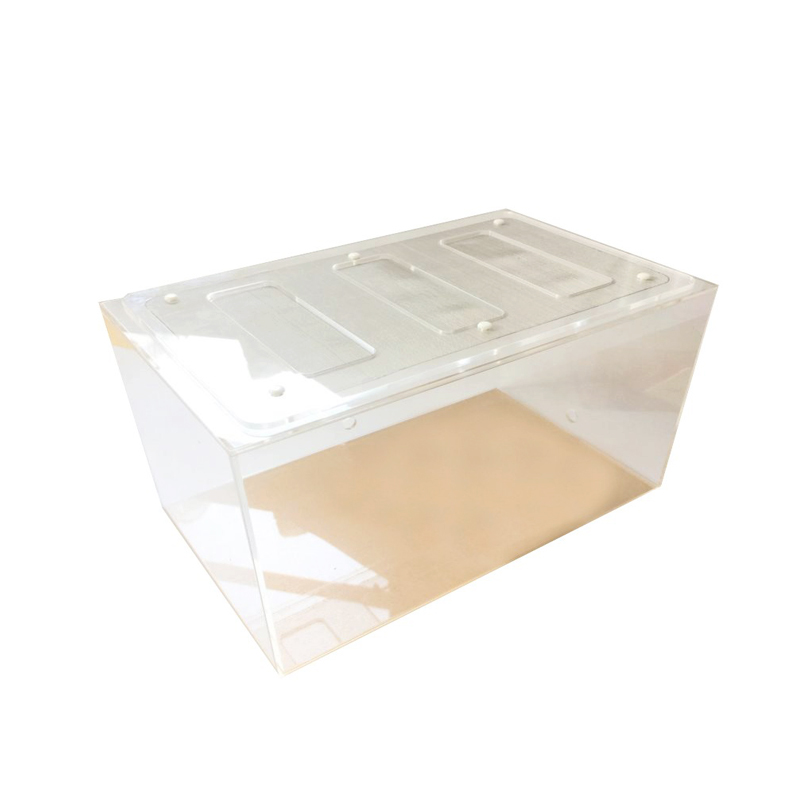 Acrylic Finished Seamless Ant  – Begonia Rex Bewertung und Preis