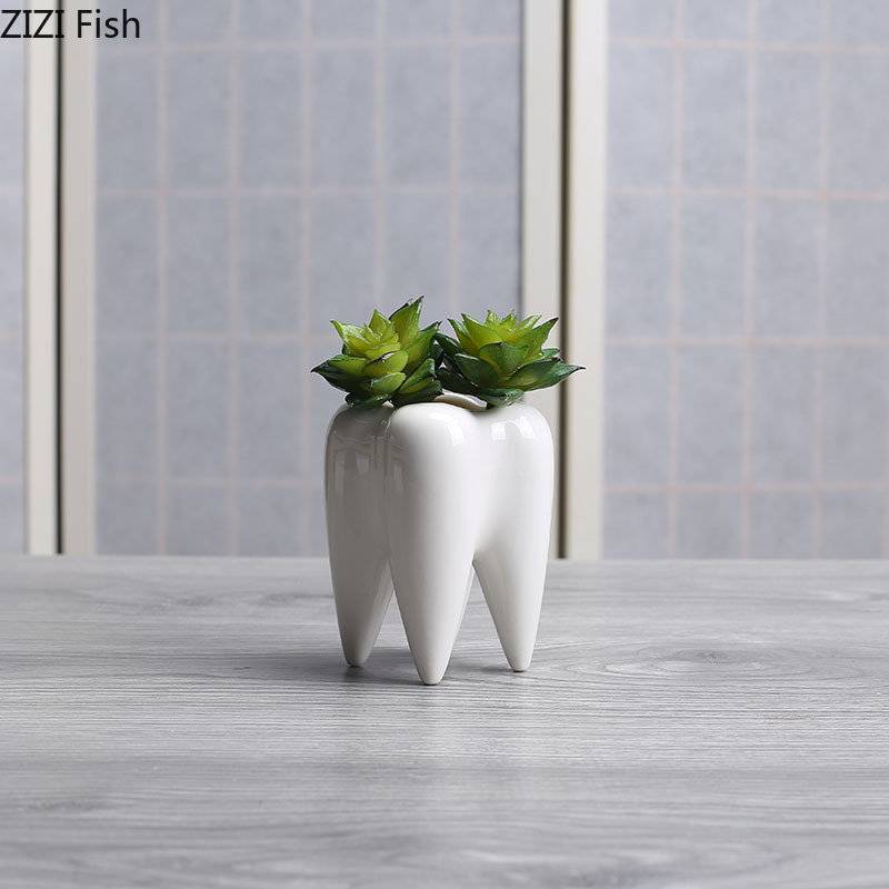 Tooth Shaped Ceramic Flower Po – Echeveria Succulent Bewertung und Preis