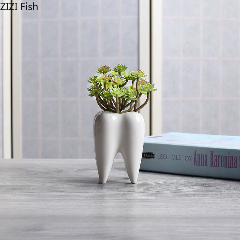 Tooth Shaped Ceramic Flower Po – Echeveria Succulent Bewertung und Preis