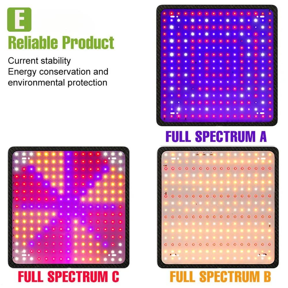 400W LED Grow Light Full Spect – Echeveria Succulent Bewertung und Preis