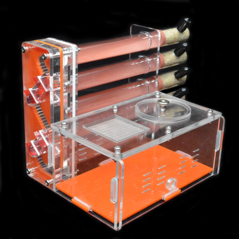 DIY Acrylic Ant Farm 5 pcs 18- – Begonia Rex Bewertung und Preis