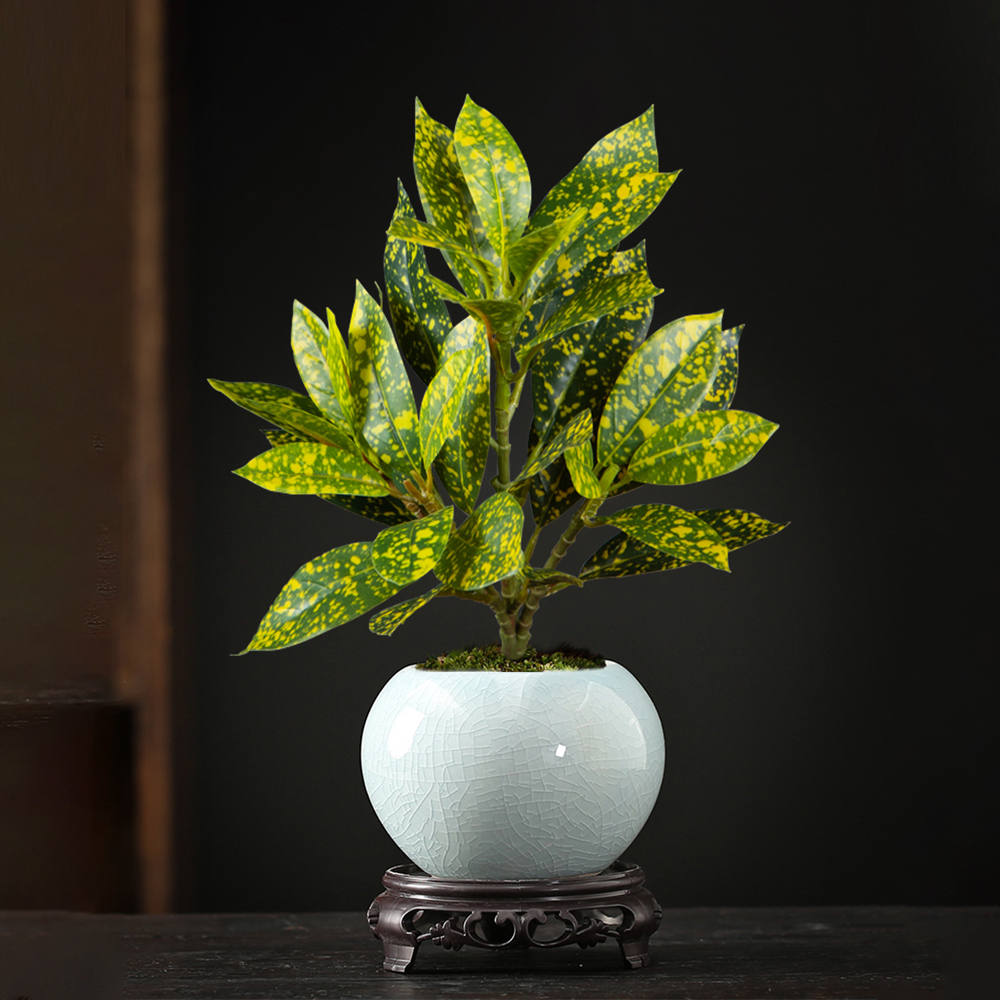 24-41cm Artificial Ficus Tree  – Ficus Lyrata Tree Bewertung und Preis