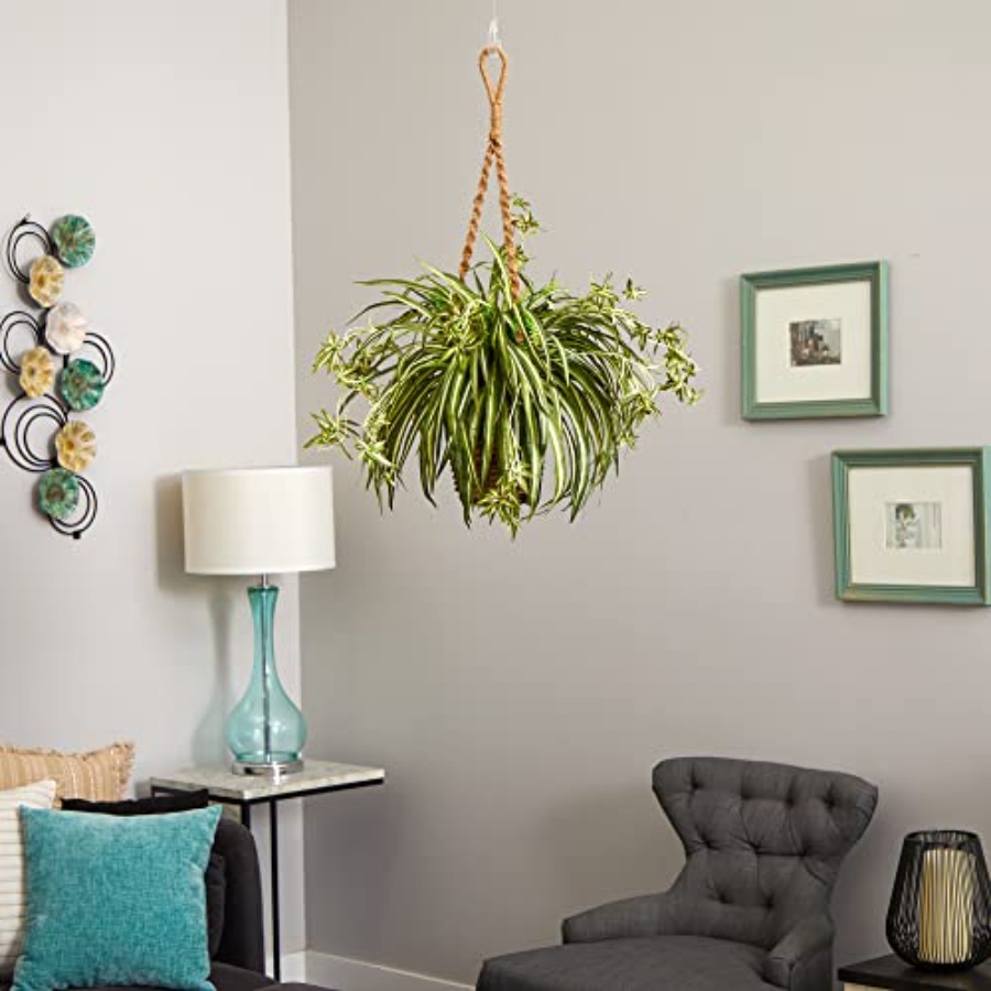 Spider Plant Hanging Basket – Spider Plant Hanging Bewertung und Preis