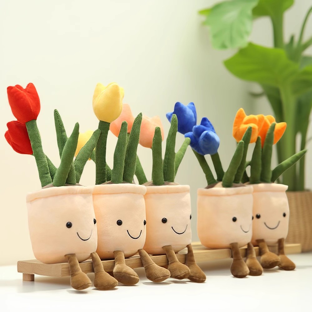 Tulipán realista toys succulen – Echeveria Succulent Bewertung und Preis
