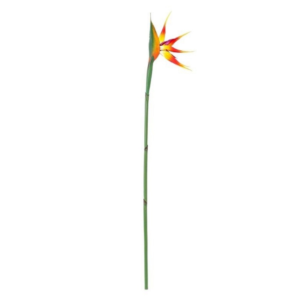 Long Stem Artificial Bird of P – Bird Paradise Strelitzia Bewertung und Preis