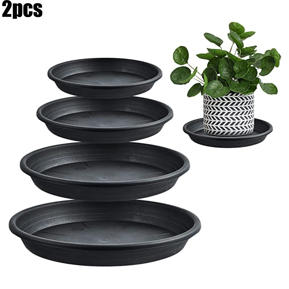 2pcs Plant Trays Round Succule – Echeveria Succulent Bewertung und Preis