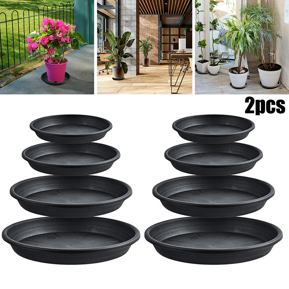 2pcs Plant Trays Round Succule – Echeveria Succulent Bewertung und Preis