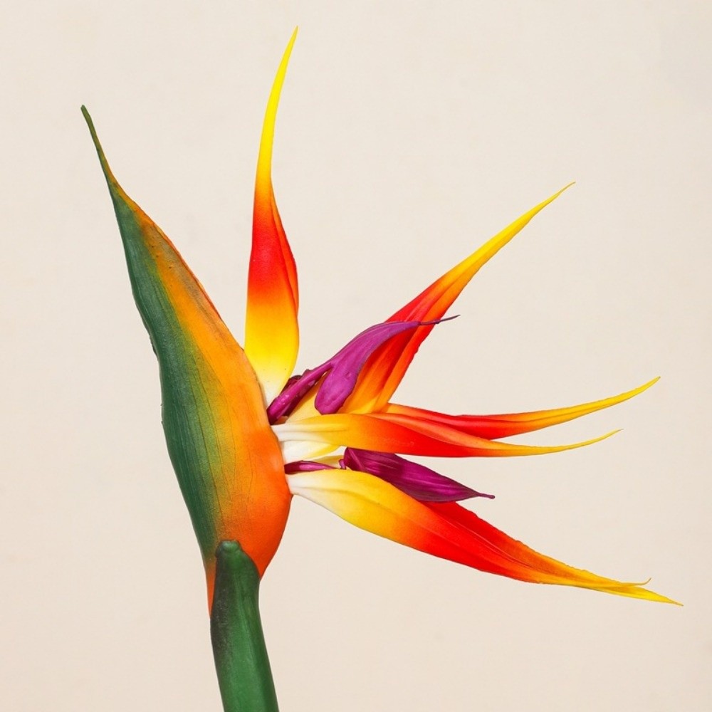 Long Stem Artificial Bird of P – Bird Paradise Strelitzia Bewertung und Preis