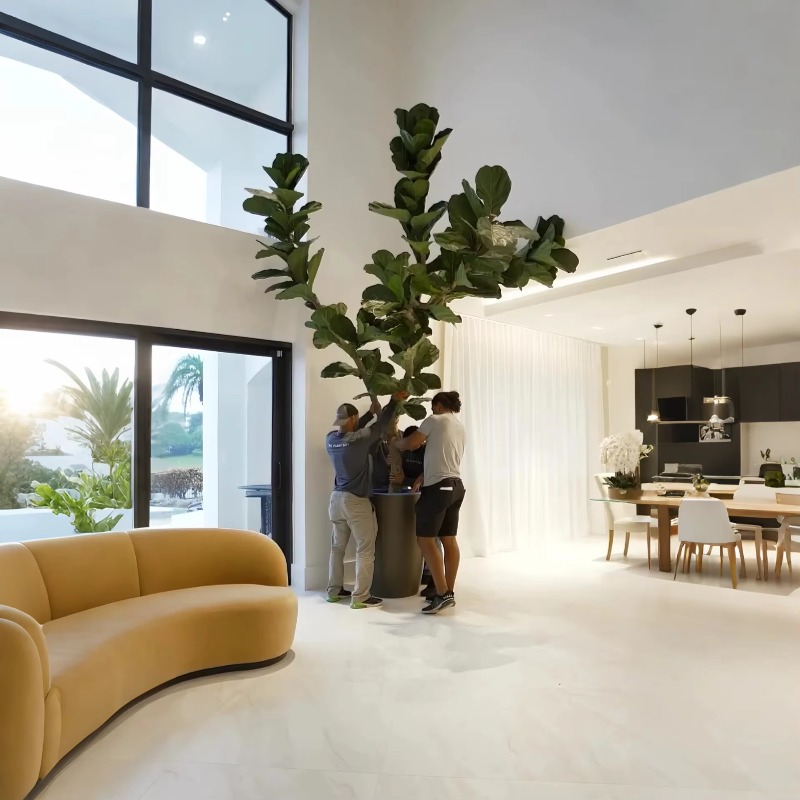 Artificial Plants Indoor Potte – Ficus Lyrata Tree Bewertung und Preis