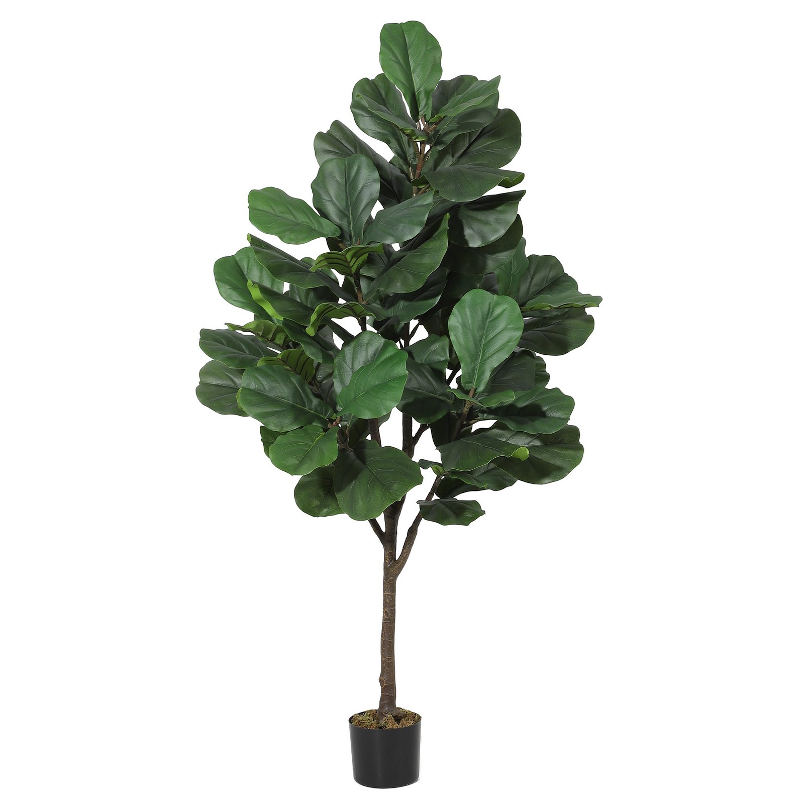 Artificial Fiddle Leaf Fig Tre – Ficus Lyrata Tree Bewertung und Preis