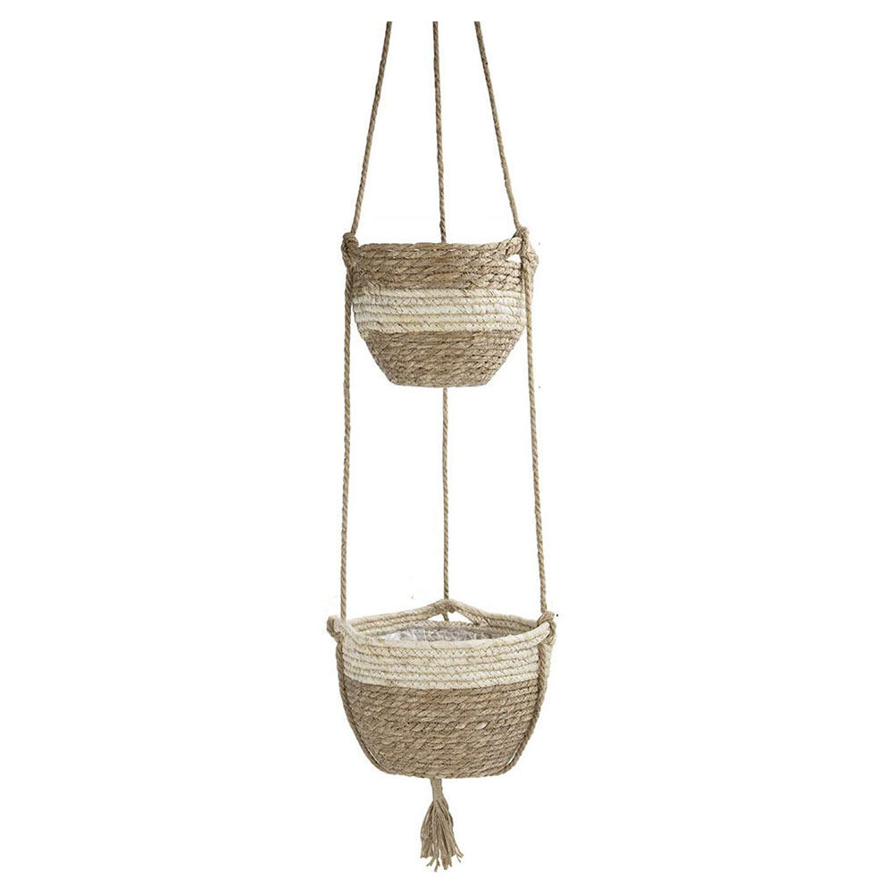 1Set Hanging Spider Plant Pot  – Spider Plant Hanging Bewertung und Preis