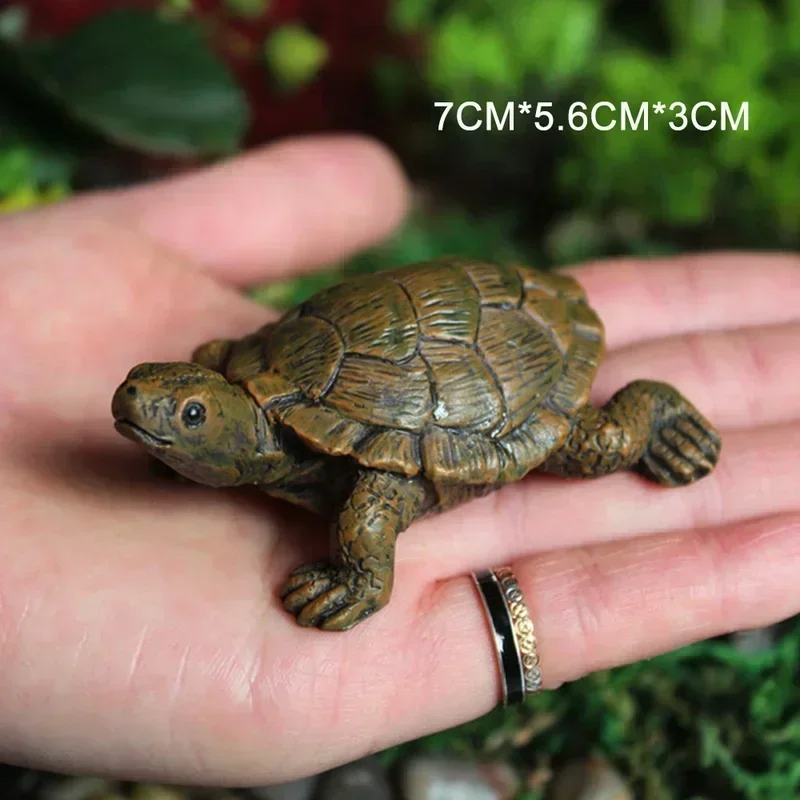 Simulation of Small Turtle Res – Echeveria Succulent Bewertung und Preis