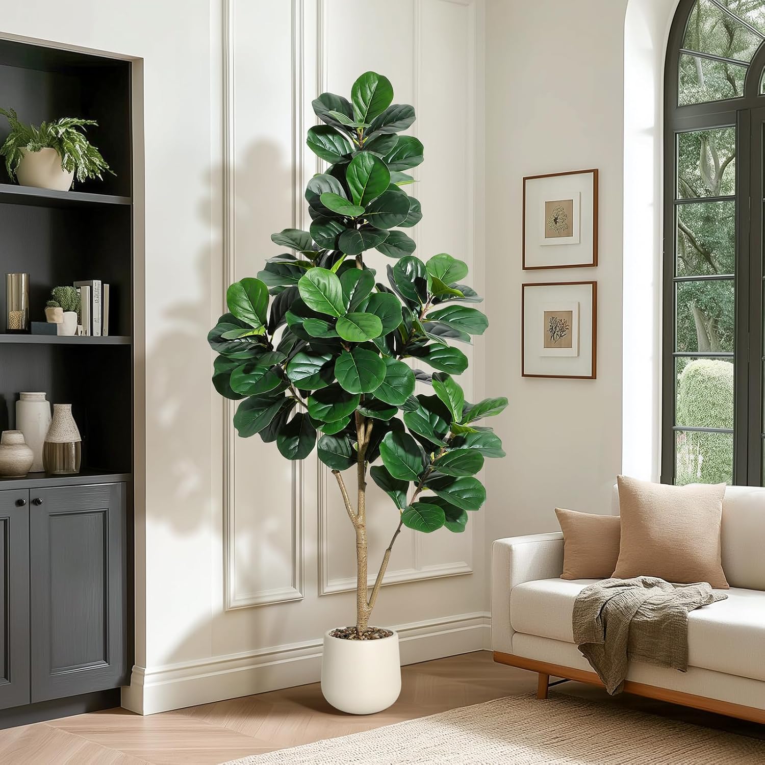 4-7 FT Fiddle Leaf Fig Tree Ar – Ficus Lyrata Tree Bewertung und Preis