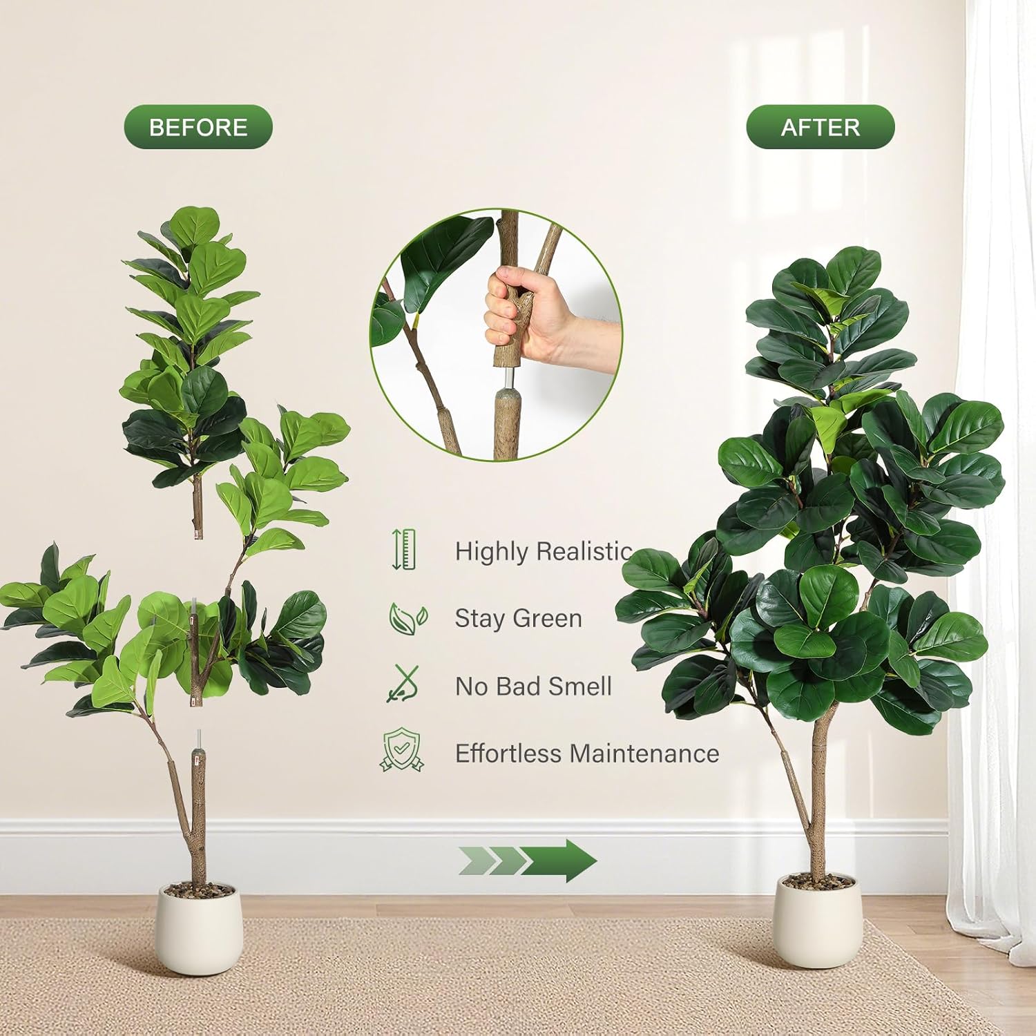 4-7 FT Fiddle Leaf Fig Tree Ar – Ficus Lyrata Tree Bewertung und Preis