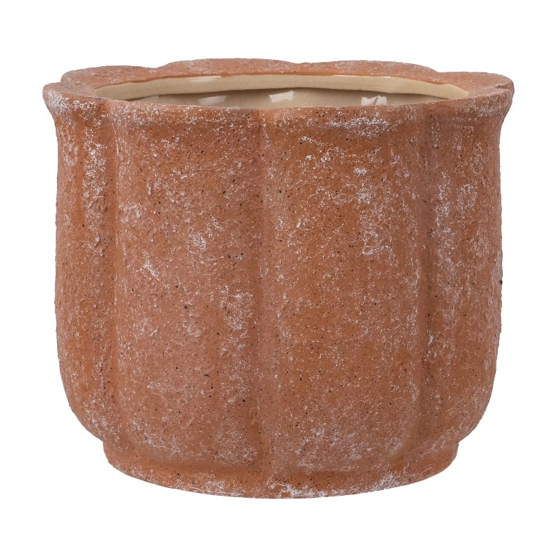 8in Terracotta Flower Planter  – Aloe Vera Pot Bewertung und Preis