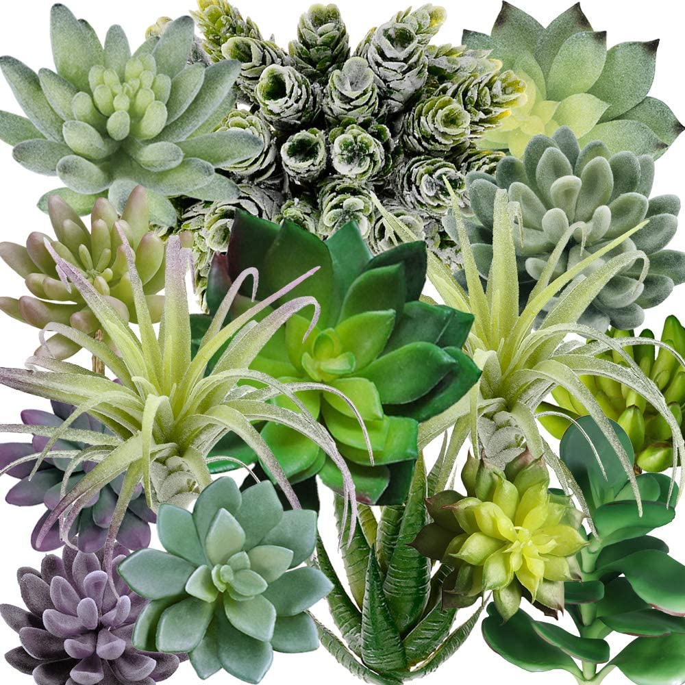 15 Pack Assorted Artificial Su – Echeveria Succulent Bewertung und Preis