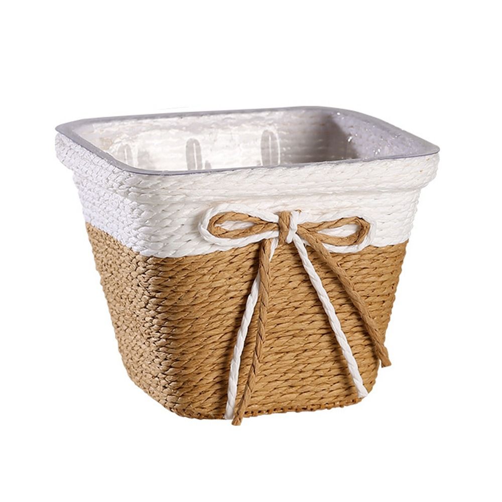 Paper Rope Braided Braided Flo – Aloe Vera Pot Bewertung und Preis