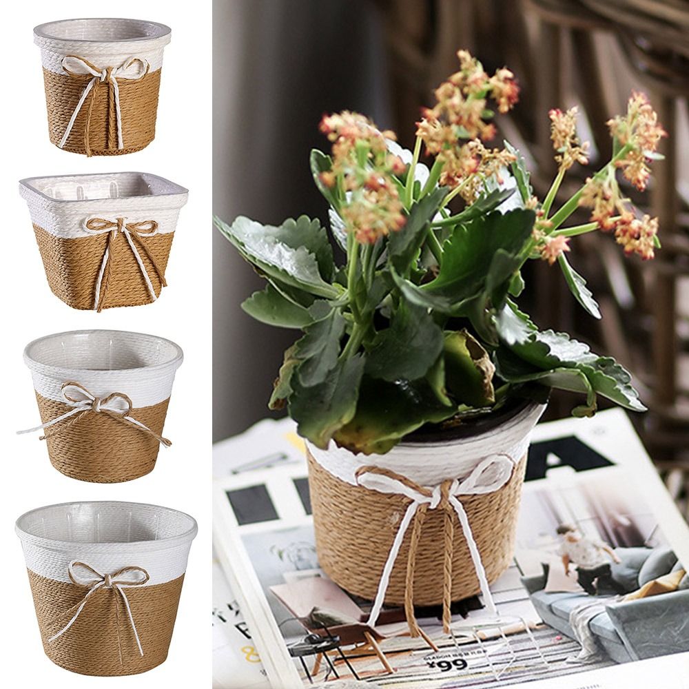 Paper Rope Braided Braided Flo – Aloe Vera Pot Bewertung und Preis