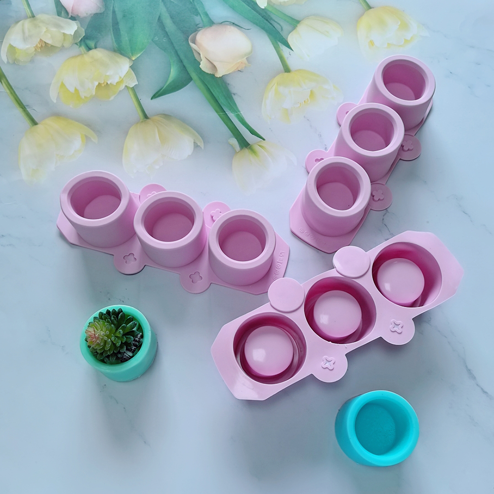 Silicone Mold for Succulent Pl – Echeveria Succulent Bewertung und Preis