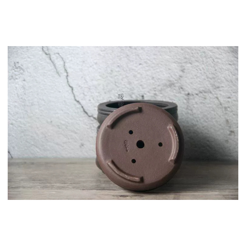 Ceramic Circle Bonsai Pot,Plat – Pilea Peperomioides Bewertung und Preis