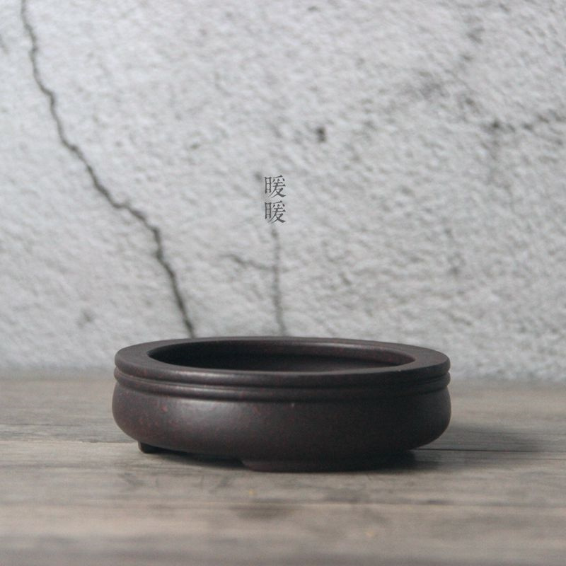 Ceramic Circle Bonsai Pot,Plat – Pilea Peperomioides Bewertung und Preis