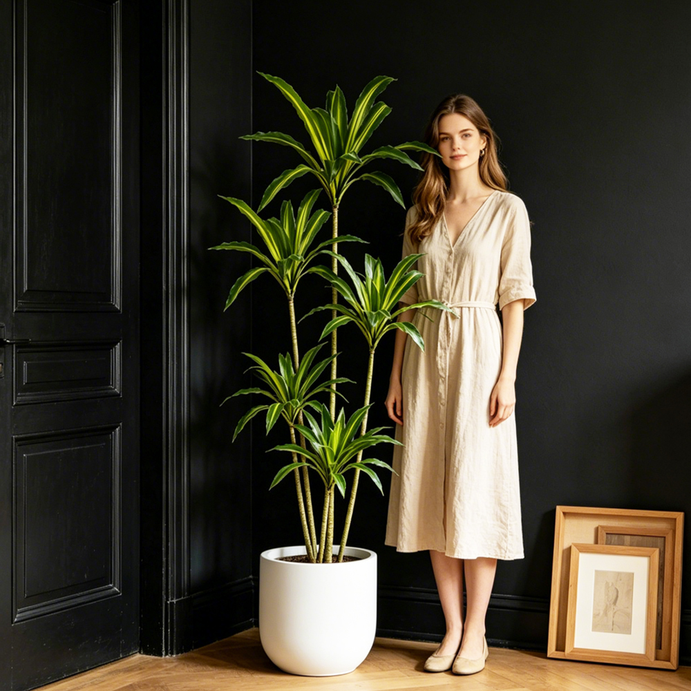 80-165cm Large Artifcial Draca – Dracaena Marginata Bewertung und Preis