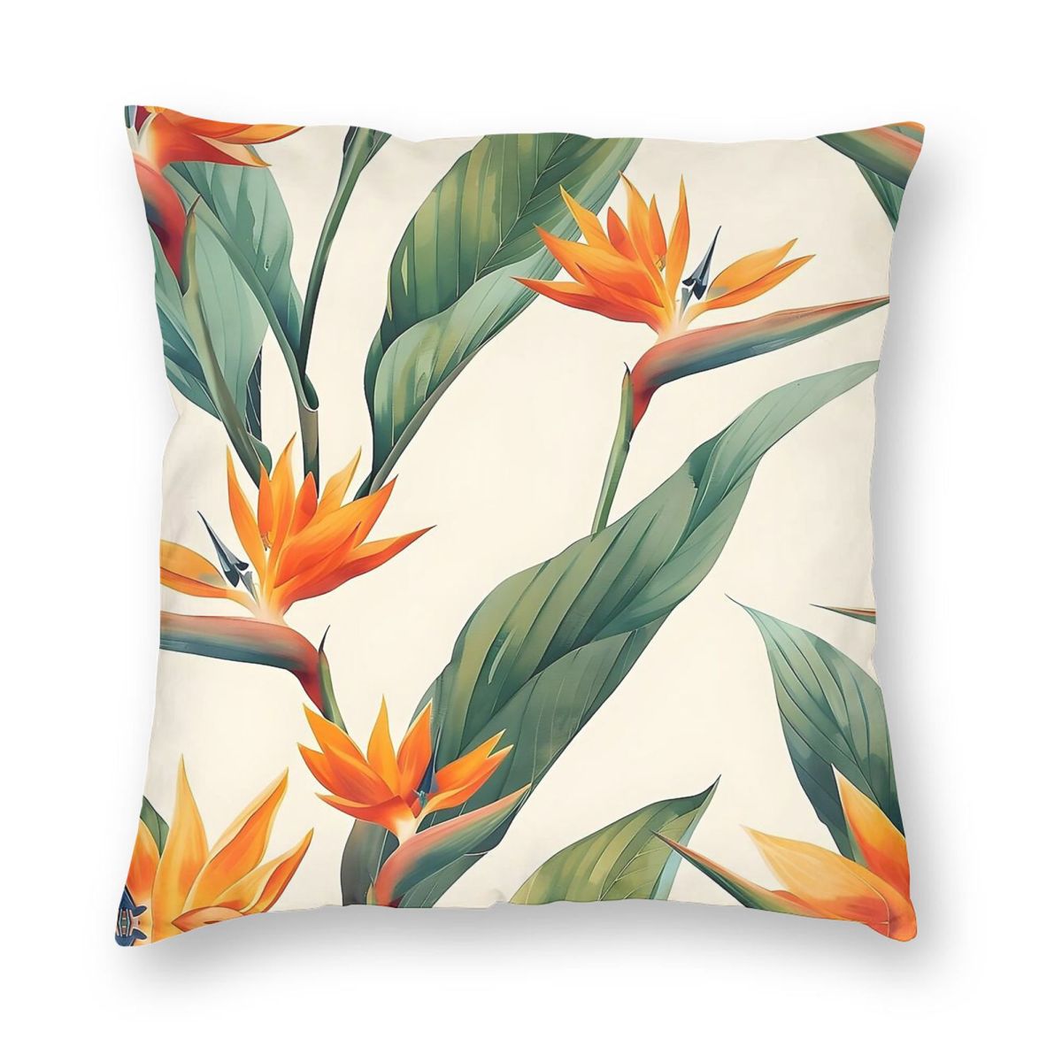 Bird Of Paradise Strelitzia Sq – Bird Paradise Strelitzia Bewertung und Preis