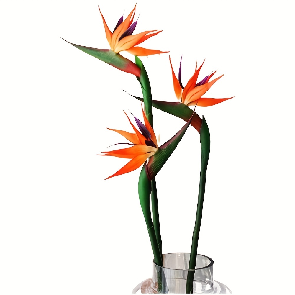 3pcs Artificial Bird Of Paradi – Bird Paradise Strelitzia Bewertung und Preis