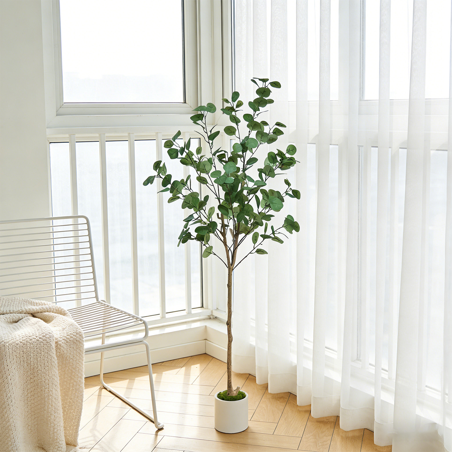 120-155Cm/5.1Ft Artificial Euc – Dracaena Marginata Bewertung und Preis