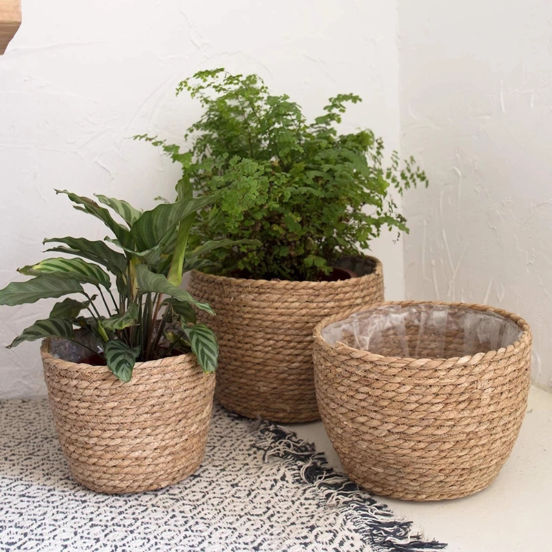 Straw Weaving Flower Plant Pot – Aloe Vera Pot Bewertung und Preis