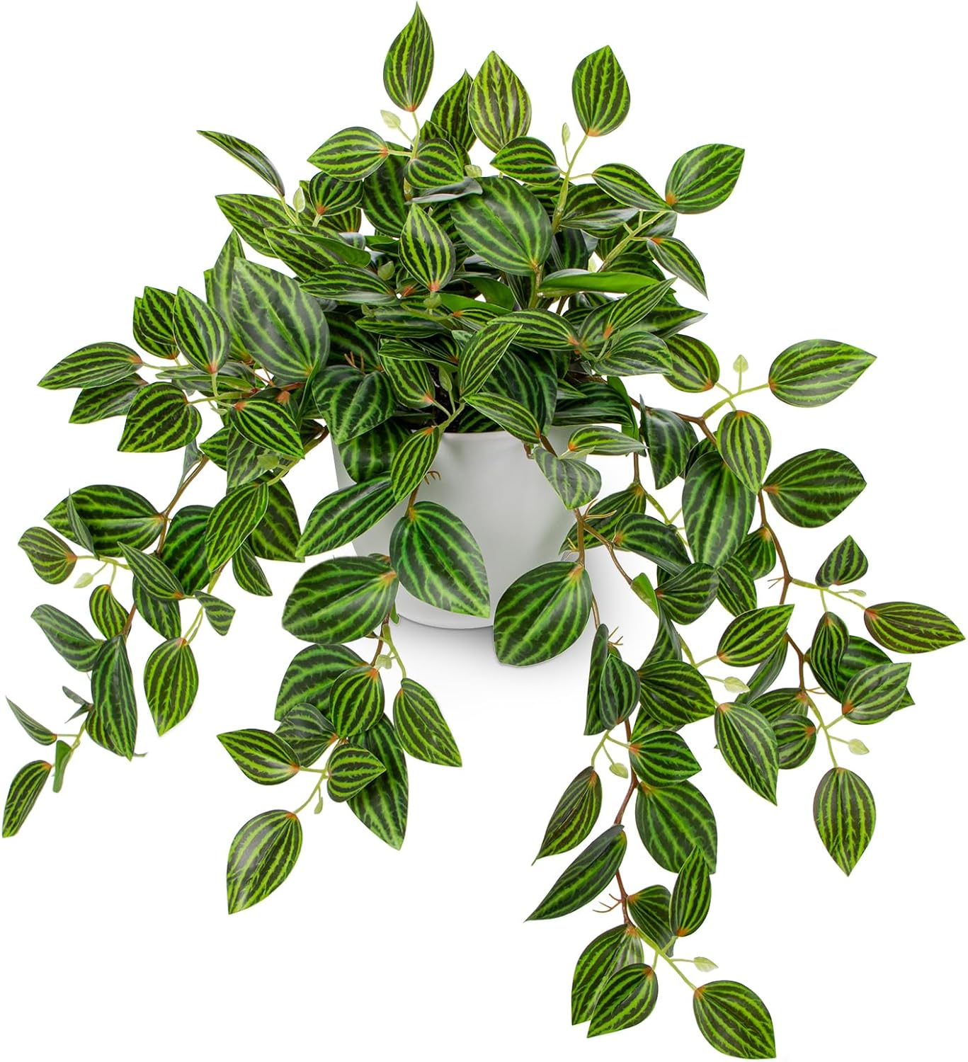 Artificial Plants Indoor Fake  – Peperomia Watermelon Bewertung und Preis