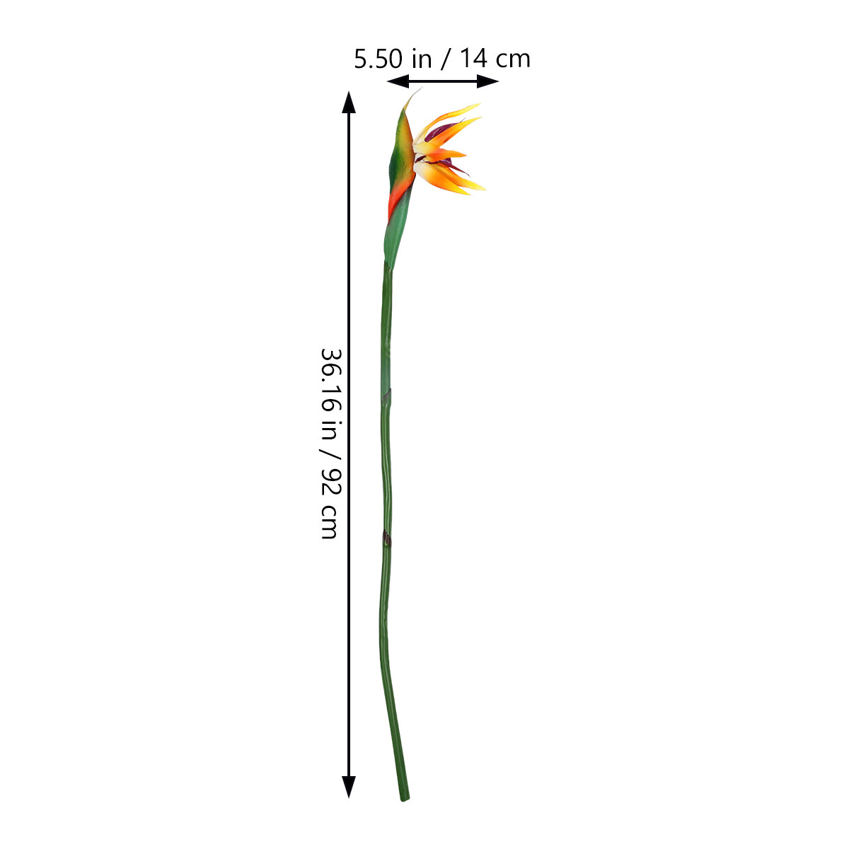 Artificial Strelitzia Flower R – Bird Paradise Strelitzia Bewertung und Preis