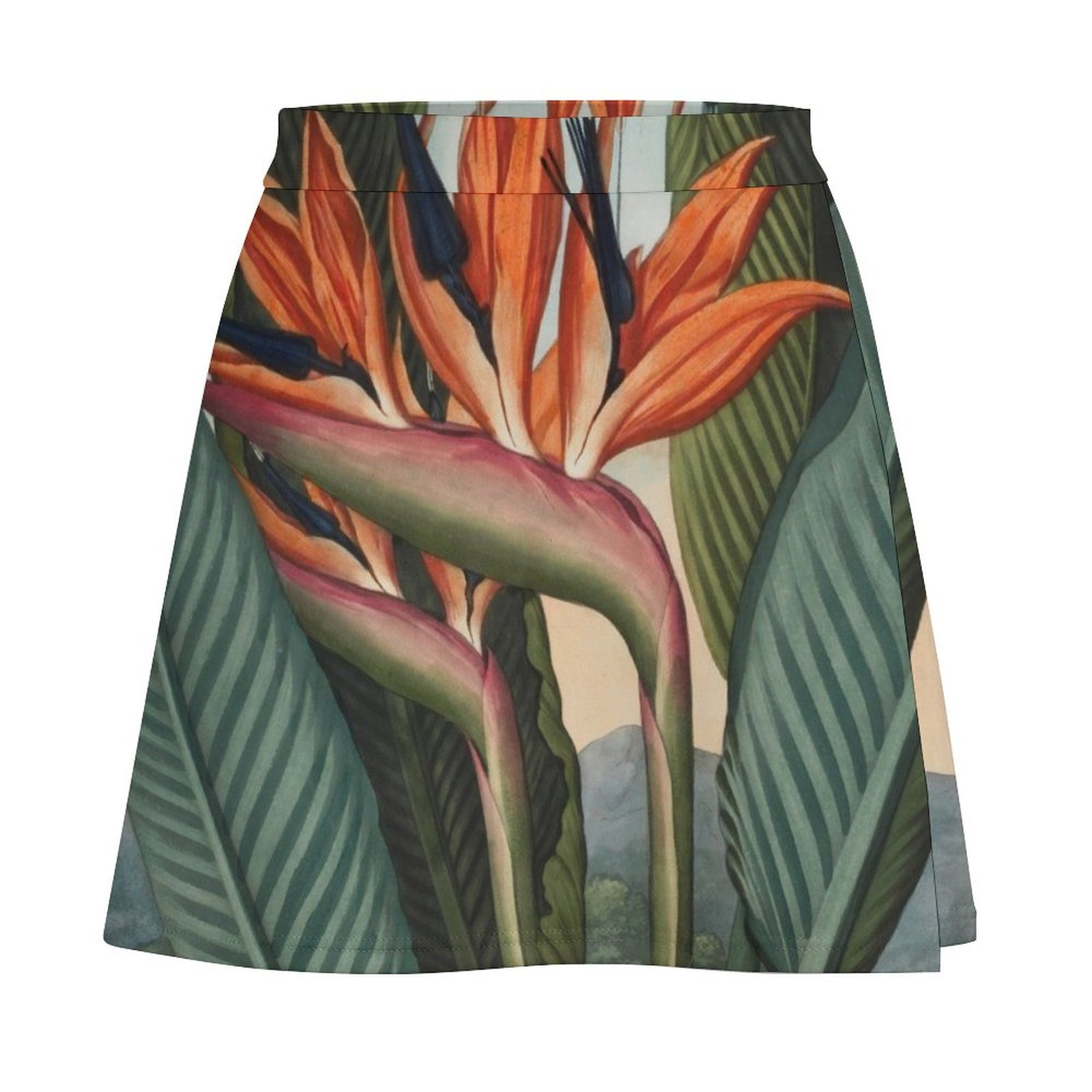Botanical illustration: Bird o – Bird Paradise Strelitzia Bewertung und Preis