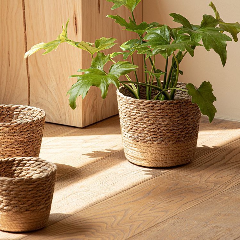 Straw Weaving Flower Plant Pot – Aloe Vera Pot Bewertung und Preis