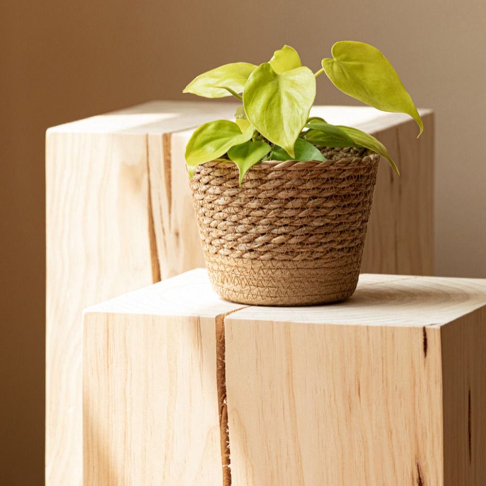 Straw Weaving Flower Plant Pot – Aloe Vera Pot Bewertung und Preis