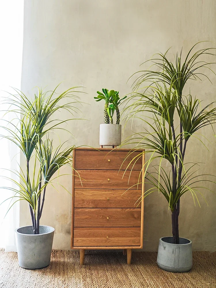 Simulation Plant Dracaena Marg – Dracaena Marginata Bewertung und Preis