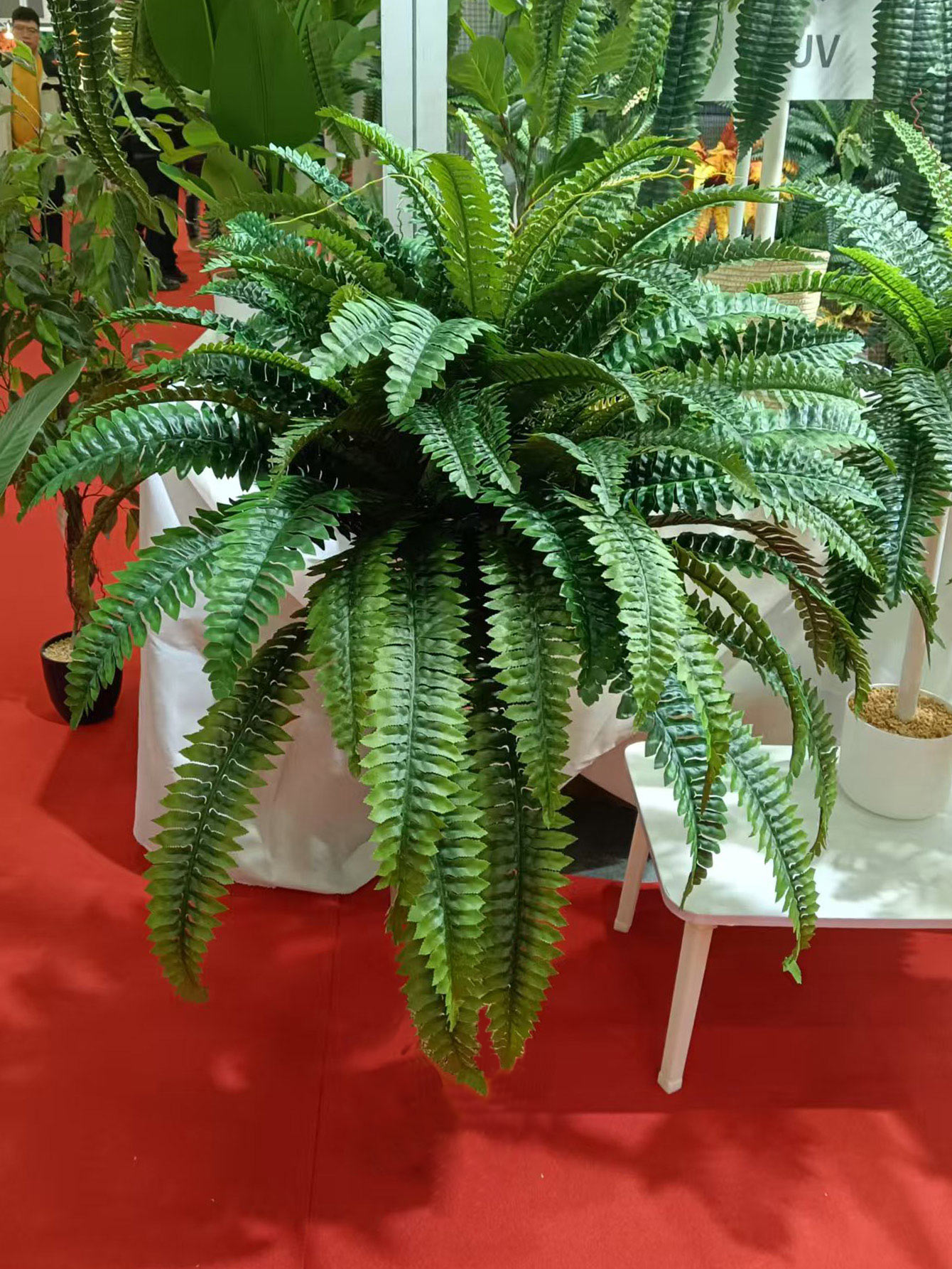 28/58/88 Leaves Artificial Bos – Dracaena Marginata Bewertung und Preis