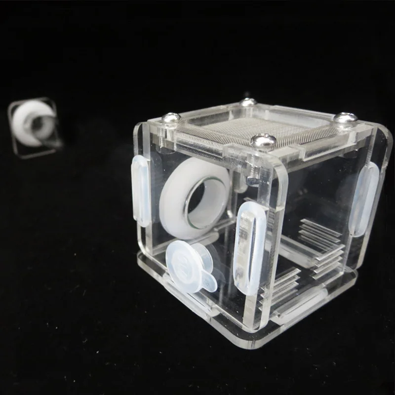 DIY Various Size Ant Farm Bamb – Begonia Rex Bewertung und Preis
