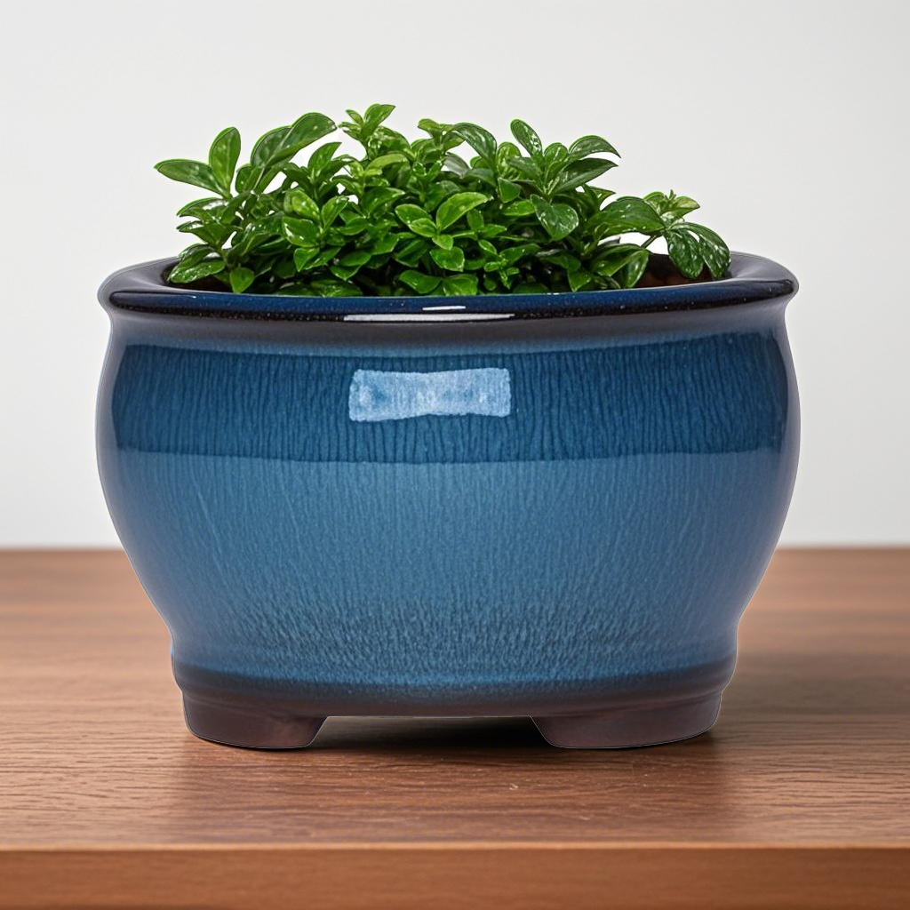 Ceramic Garden Planter Pots Ce – Aloe Vera Pot Bewertung und Preis