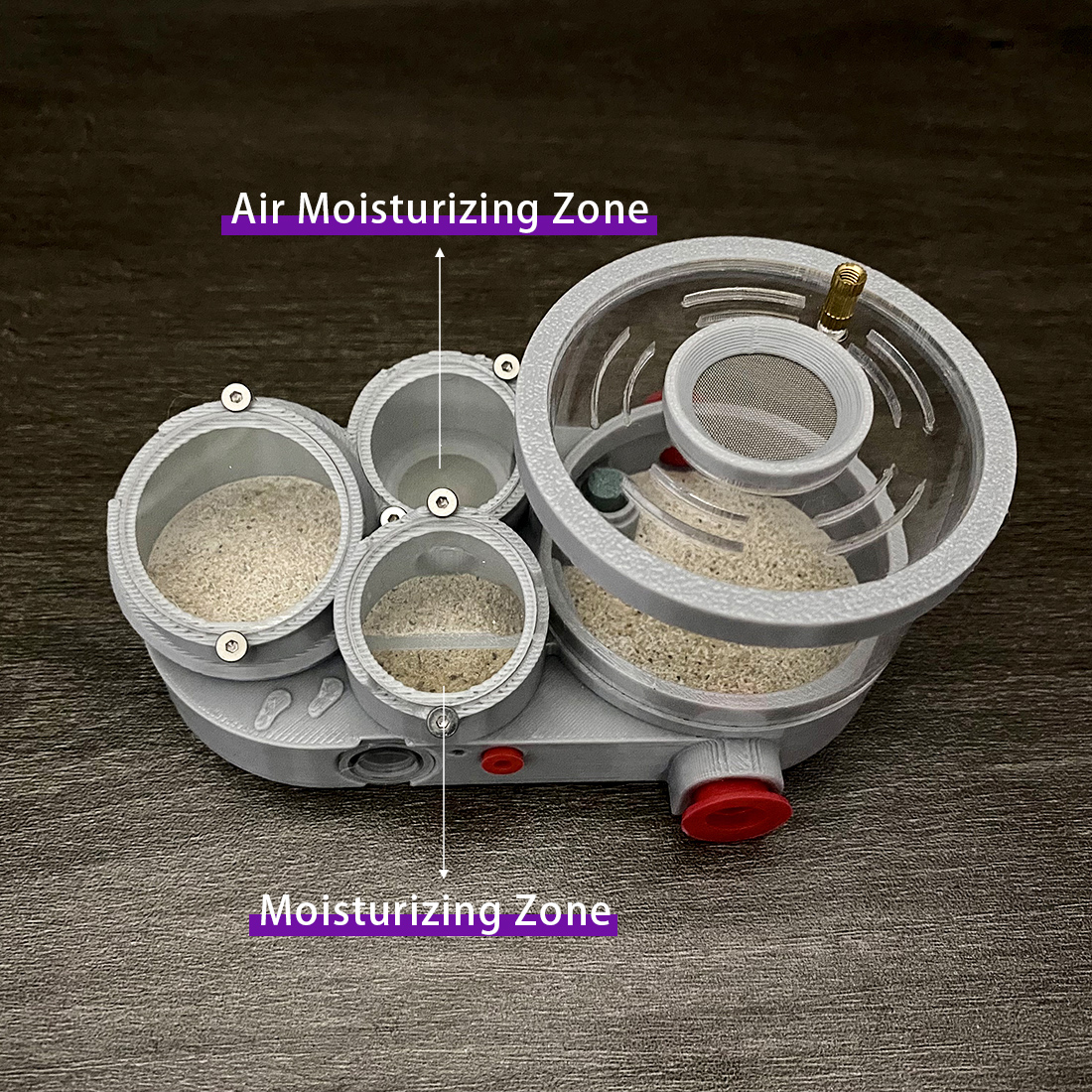 【Three Body】Ant Farm with Wate – Begonia Rex Bewertung und Preis